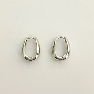 Chic Silver Oval Earrings